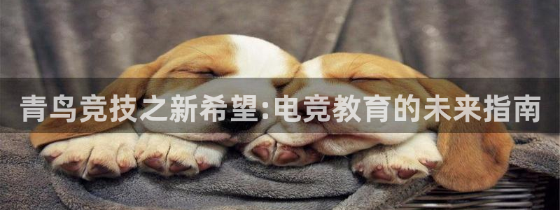 必赢电竞：青鸟竞技之新希望:电竞教育的未来指南