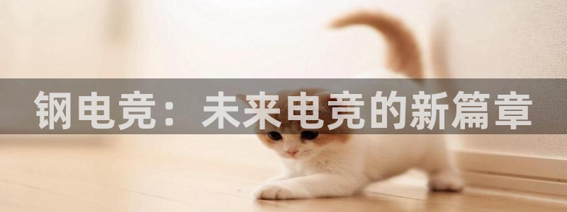 必赢电竞最新比赛：钢电竞：未来电竞的新篇章