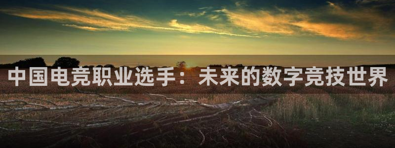 必赢电竞：中国电竞职业选手：未来的数字竞技世界