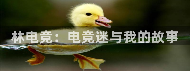 必赢电竞：林电竞：电竞迷与我的故事