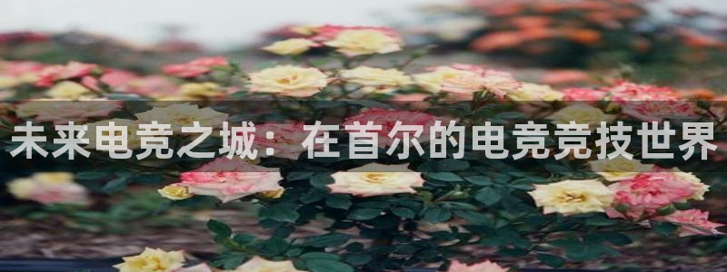 必赢电竞：未来电竞之城：在首尔的电竞竞技世界