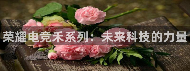 必赢电竞：荣耀电竞禾系列：未来科技的力量