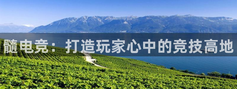 必赢电竞最新比赛：髓电竞：打造玩家心中的竞技高地